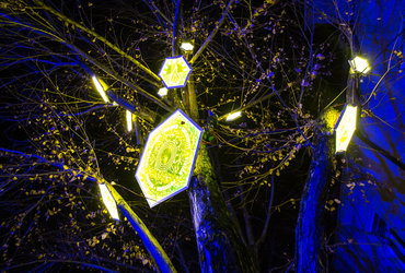 Lumina: Ko zasijemo <em>Foto: Foto: Boštjan Selinšek</em>