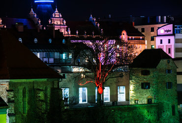 ISKRENJE <em>Foto: Denis Zelnik</em>