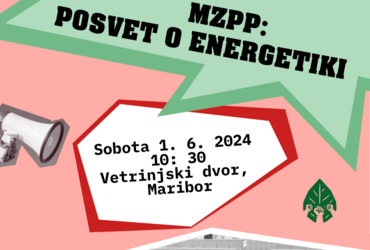 Mladi za podnebno pravičnost: Posvet o energetiki