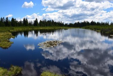 Matjaž Jež: Po vodnih poteh <em>Foto: ©Matjaž Jež</em>
