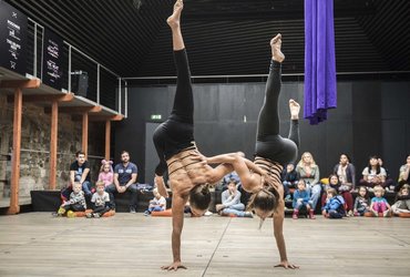 ANA MRZLA MARIBORSKA