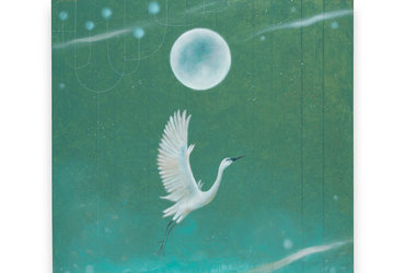 Mojca Fo: RAZ MISLEKI