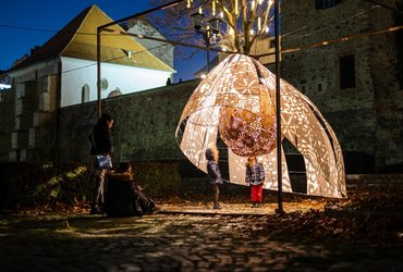 NOČNIK <em>Foto: Boštjan Selinšek</em>