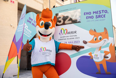 MINI OLIMPIJADA OFEM, 4 +