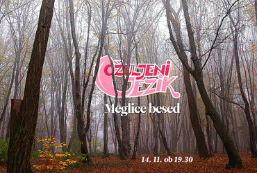 Večer slamovske poezije Ožuljeni jezik: Meglice besed