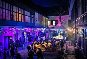 OTVORITEV VILINSKEGA DVORA: VILINSKI POLJUB 