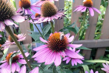 ODPORNI NA STRES IN IZGORELOST