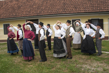 PLESI, PESMI TER ŠEGE IN NAVADE LANCOVE VASI