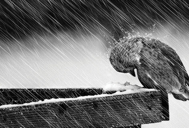 S filozofijo lažje skozi krizo