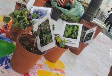 POZDRAVLJENA, VESNA!