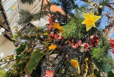 POZDRAVLJENA, VESNA!