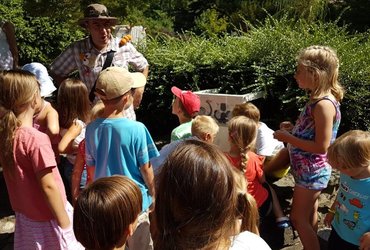 PRAVLJIČNI KOLOVRAT S PALČKOM SPREHAJALČKOM 