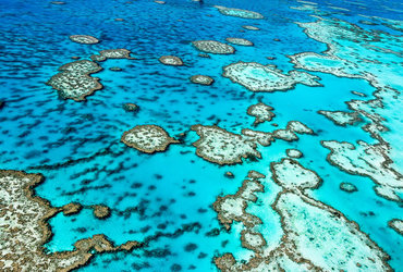 SKRITI ZAKLADI AVSTRALIJE 