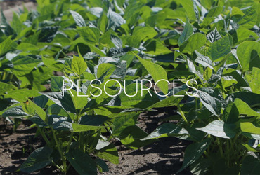 Krožno gospodarstvo v praksi