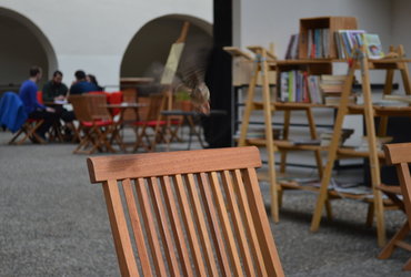 ČITALNICA NA DVORIŠČU: KAKO JE PAVLIHA KUKCA PRODAL