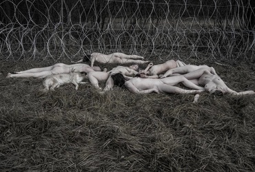 Vzhodni prebliski <em>Foto: Sandra Požun</em>