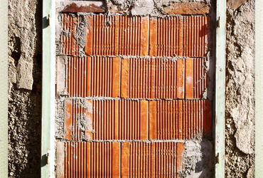 Vzhodni prebliski <em>Foto: Saša Huzjak</em>