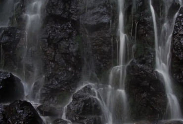  Petra Kapš (OR poiesis): Furīfōru / fluvial