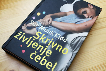 Sue Monk Kidd: Skrivno življenje čebel