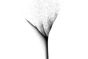 TNT- Telo Naš T…. <em>Foto: Maja Šivec</em>