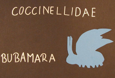 Projekcija MINI filmarji