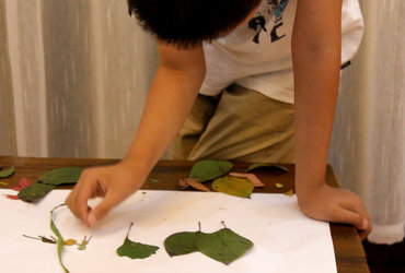 Projekcija MINI filmarji