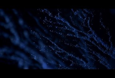 Projekcije: Mednarodno tekmovanje stop animacija I