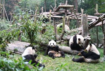 Zoran Furman: Iz Katmanduja do Hong Konga (skozi Tibet in Kitajsko) <em>Foto: Zoran Furman</em>