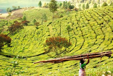 Tomislav Perko: 7 let na cesti <em>Foto: Tomislav Perko</em>