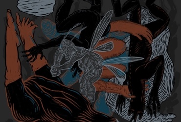 Cizl <em>Foto: © Nenad Cizl</em>