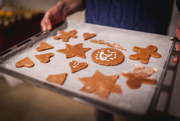 Vilinske ustvarjalnice: PARKELJ