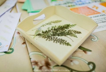 Vilinske ustvarjalnice: CIANOTIPIJA ALI MODROTISK <em>Foto: Dejan Bulut</em>