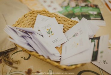 Vilinske ustvarjalnice: NARAVNA MAŽA <em>Foto: Dejan Bulut</em>