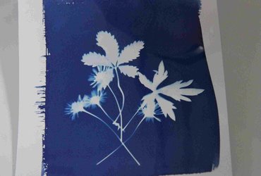 Vilinske ustvarjalnice: CIANOTIPIJA ALI MODROTISK