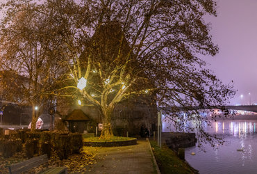 Lumina: Ko zasijemo <em>Foto: Foto: Boštjan Selinšek</em>