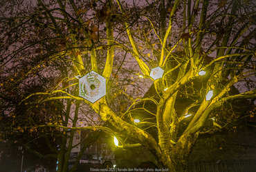 LUMINA - svetloba, ki ogreje srce! 