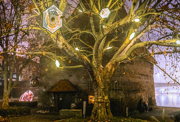 Lumina: Ko zasijemo <em>Foto: Foto: Boštjan Selinšek</em>