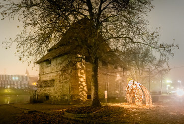 Lumina: Začasnica III <em>Foto: Foto: Boštjan Selinšek</em>