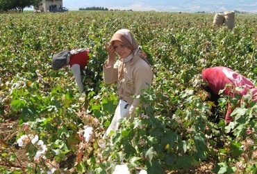 Dr. Maja Lamberger Khatib: Ženska gibanja v arabskem svetu