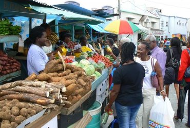 Damjan Jevšnik: Barbados - slikoviti izbranec Karibov <em>Foto: Špela Zupanc in Andreja Počkaj</em>
