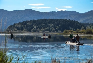 Čitalnica na dvorišču