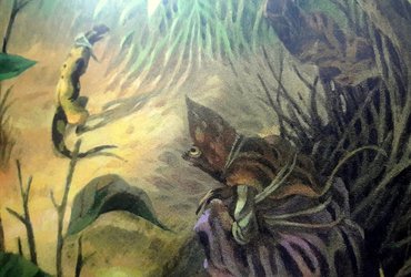 Močvirniki: zgodbe iz Zelene dobrave 