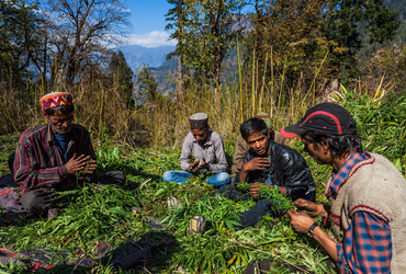 Brdnik in Šega: Devet reportažnih krogov sodobne Indije
