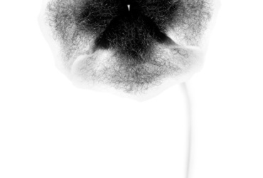 TNT- Telo Naš T…. <em>Foto: Maja Šivec</em>