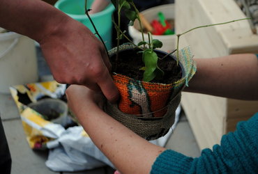 Pozdravljena, Vesna!