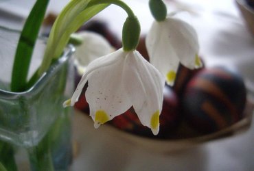 Slavje pred veliko nočjo