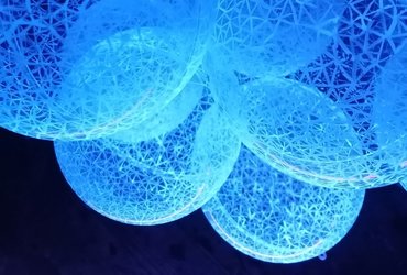 globoka MODRINA si <em>Foto: Matjaž Wenzel</em>