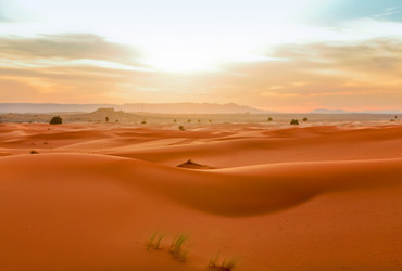 Fotokamra <em>Foto: Dejan Bulut</em>