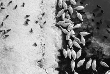 Fotokamra <em>Foto: Branimir Ritonja</em>