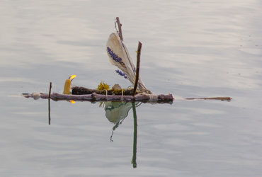  GREGORJEVO: (Fl)etno družinsko spoznavanje običaja